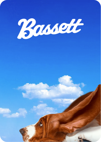 Bassett Services